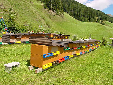 Jungvolkstand beim Haus Jungvolkstand beim Haus