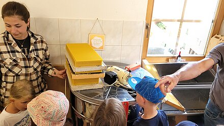 Kurze Bienenwachskunde Kurze Bienenwachskunde