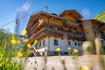 Haus Gutwenger in herrlich grünen Wiesen