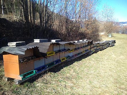 Bienenstand-Überwinterung in Leisach Bienenstand-Überwinterung in Leisach