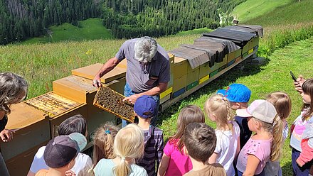 Bei richigem Umgang stechen die Bienen nicht Bei richigem Umgang stechen die Bienen nicht